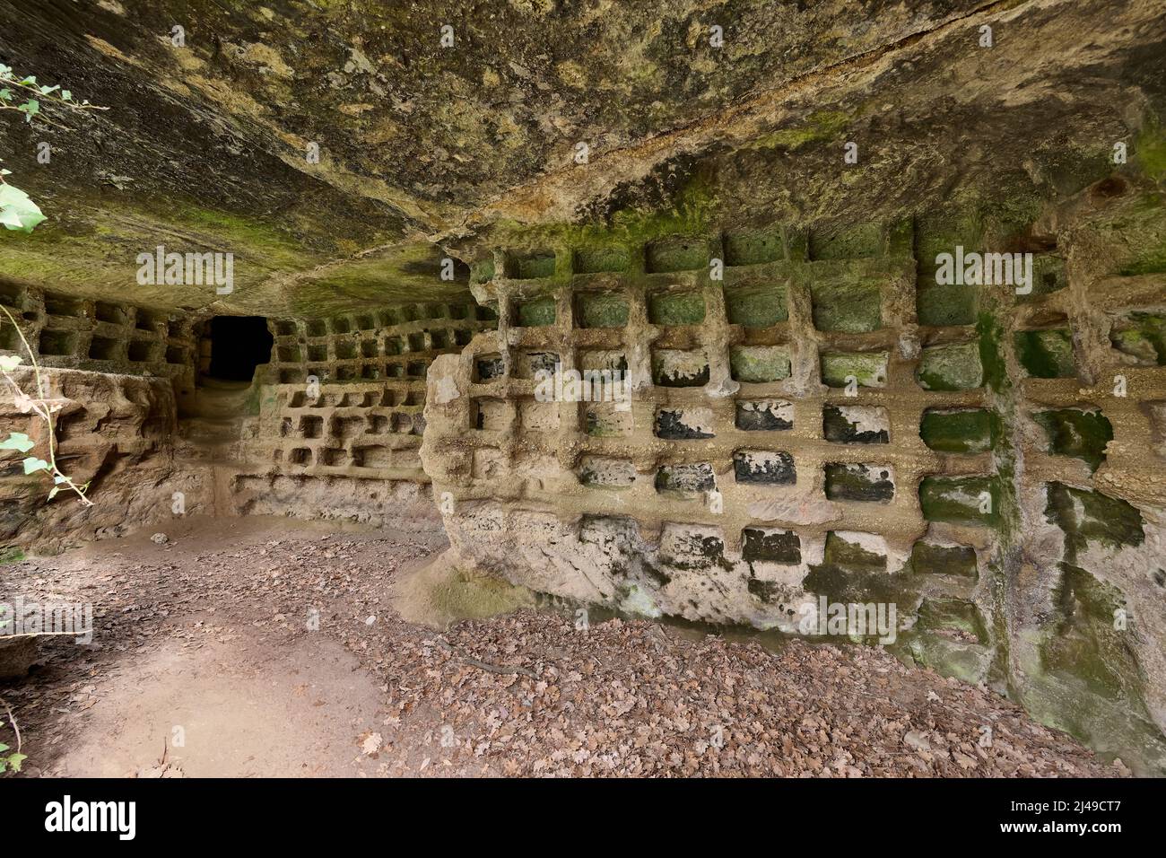 Etruskische Nekropole, Parco Archeologico Città del Tufo, Necropoli di Sovana, Toskana, Italien Stockfoto