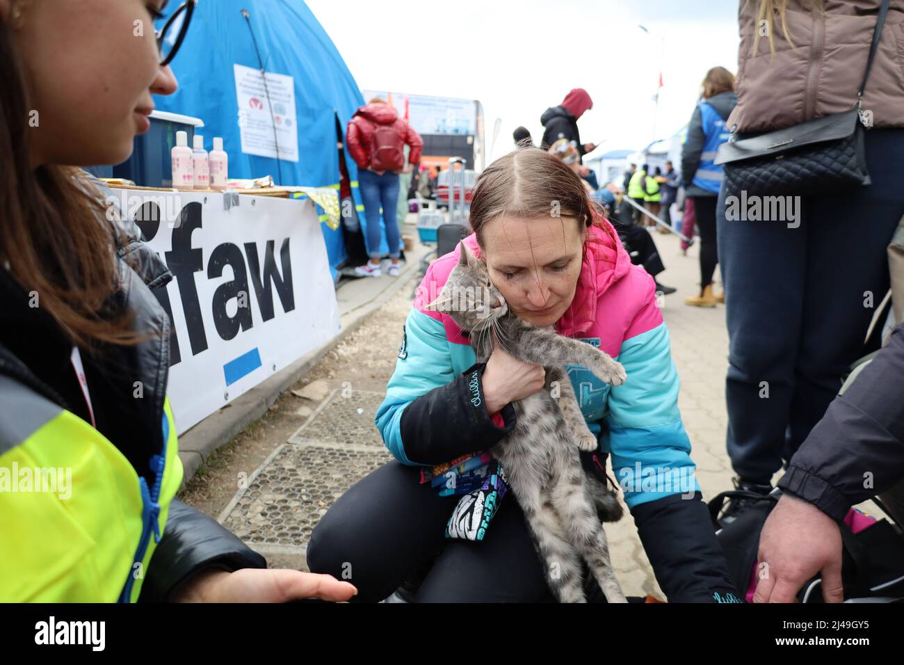 Przemysl, Polen. 11. April 2022. Die ukrainische Flüchtlingsfrau ging mit ihrer geliebten Katze über die Grenze, und sie warteten stundenlang im Niemandsland zwischen der Ukraine und Polen. Sicher im Medyka Border Camp angekommen, überprüft sie die Kitty, um sicherzustellen, dass er auch die Reise überlebt hat. Freiwillige stehen zur Seite und verkünden sie zum IFAW-Tiergesundheitszelt für weitere Gesundheitskontrollen: Ein kostenloser und ermunterter Service für alle Tiere, die ins Camp kommen. (Bild: © Amy Katz/ZUMA Press Wire) Stockfoto