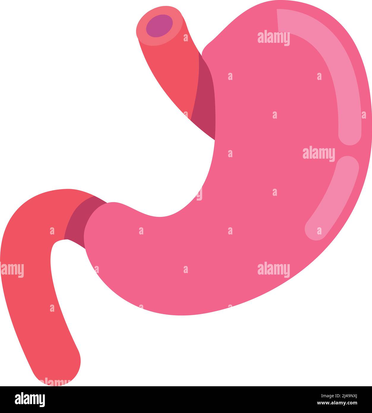 Halbflaches Farbvektorobjekt für den Magen Stock Vektor