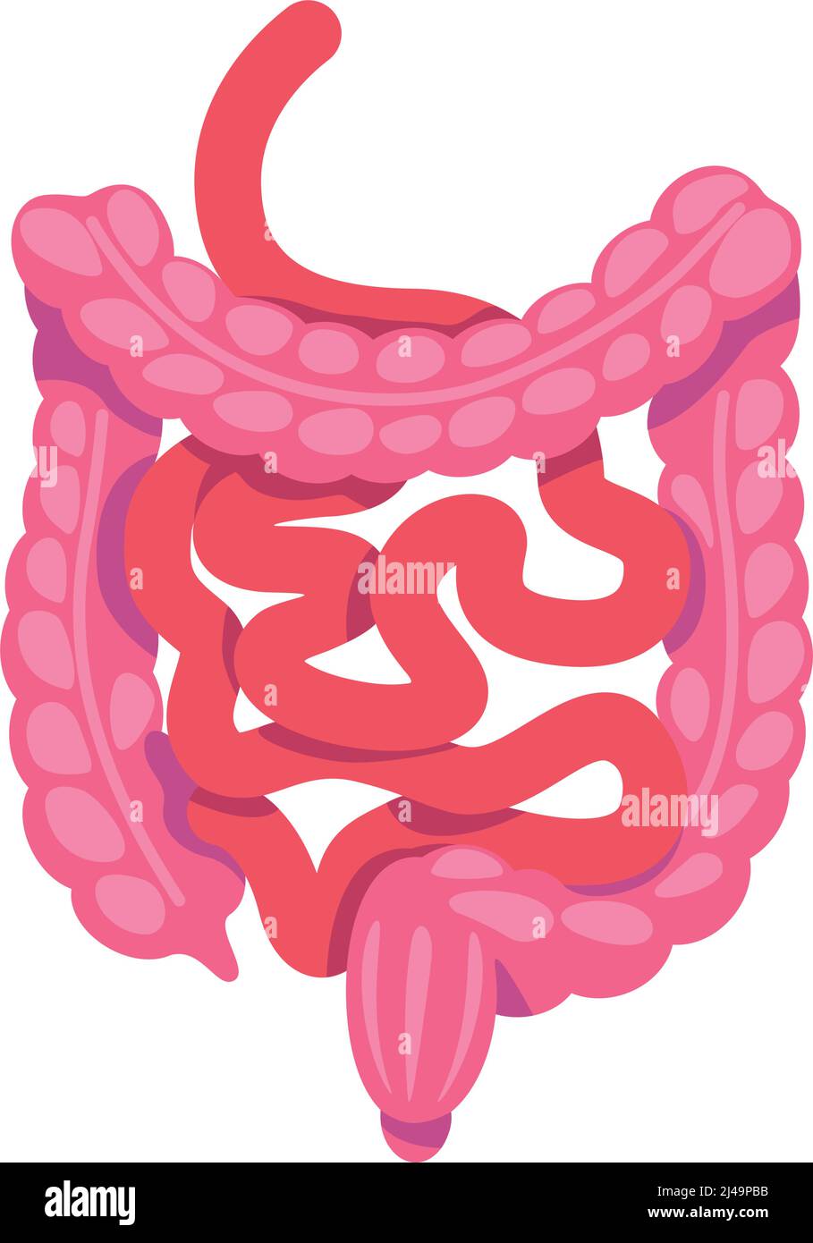 GUTS halbflaches Farbvektorobjekt Stock Vektor