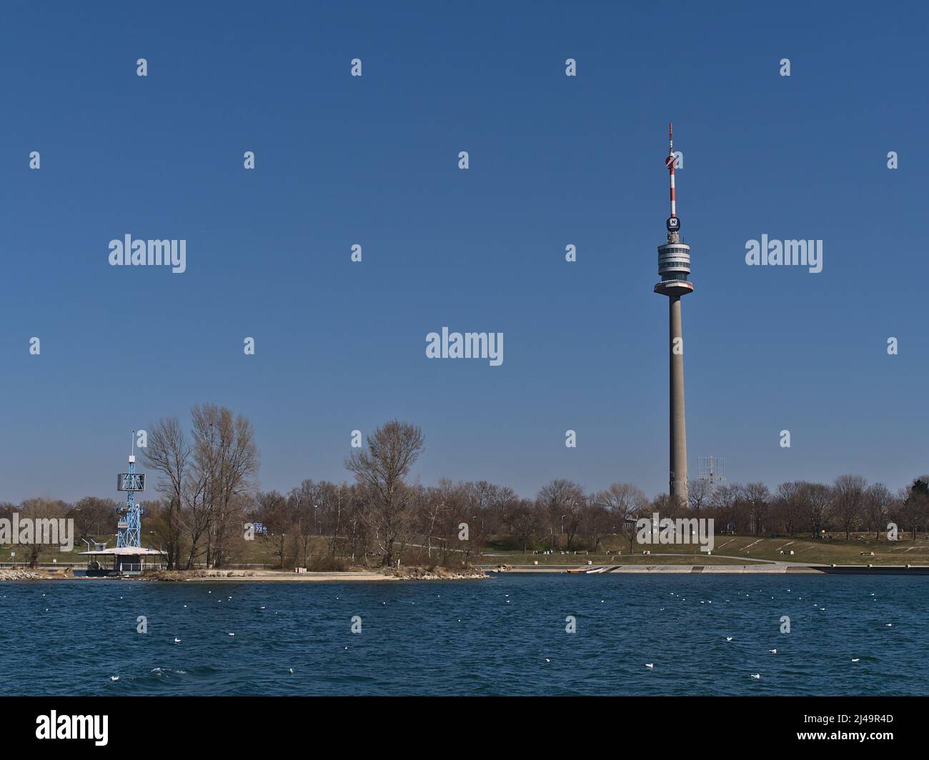 Blick auf das Donauufer im Norden Wiens, Österreich mit dem beliebten Donauturm an sonnigen Frühlingstag von der Donauinsel aus. Stockfoto