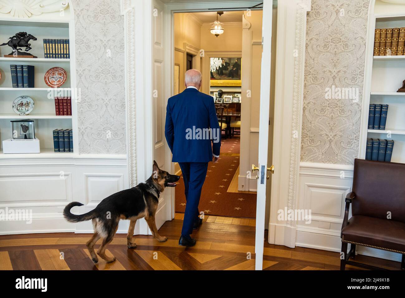 Präsident Joe Biden geht mit dem Hundekommandanten der Familie Biden zum Oval Office Dining Room, Freitag, 4. März 2022. . (Offizielles Foto des Weißen Hauses von Adam Schultz) Stockfoto