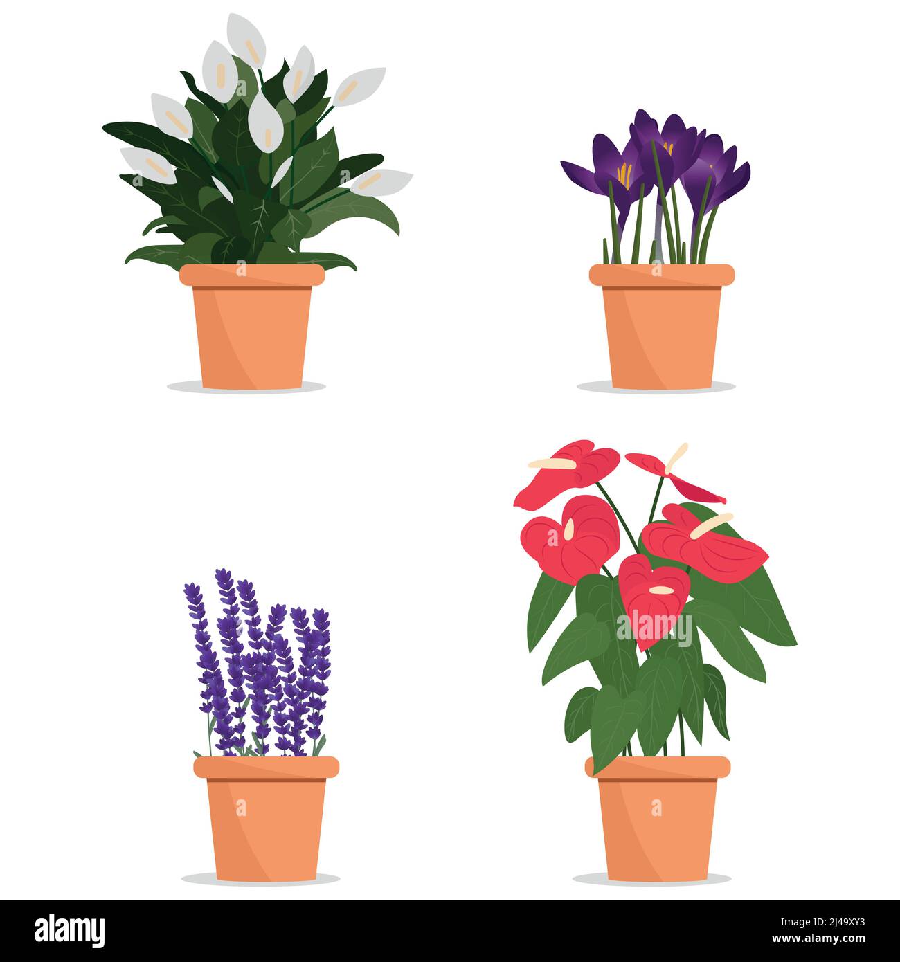 Schöne Blumen in Töpfen. Pflanzen in Töpfen Stock Vektor