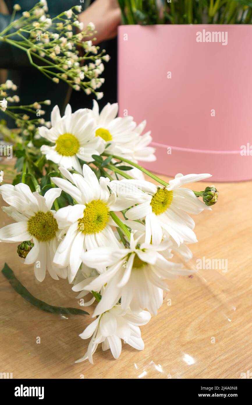 Nahaufnahme von schönen weißen Gänseblümchen auf dem Tisch, im Hintergrund macht ein Florist eine Blumenarrangement in einer rosa Schachtel. Vertikales Foto Stockfoto