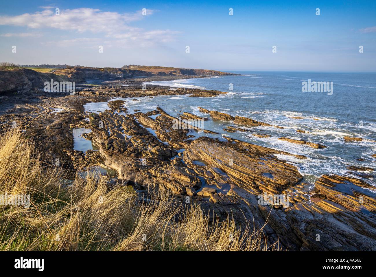 Nördlich Richtung Cullernose Point vom Northumberland Coast Path, Northumberland, England Stockfoto