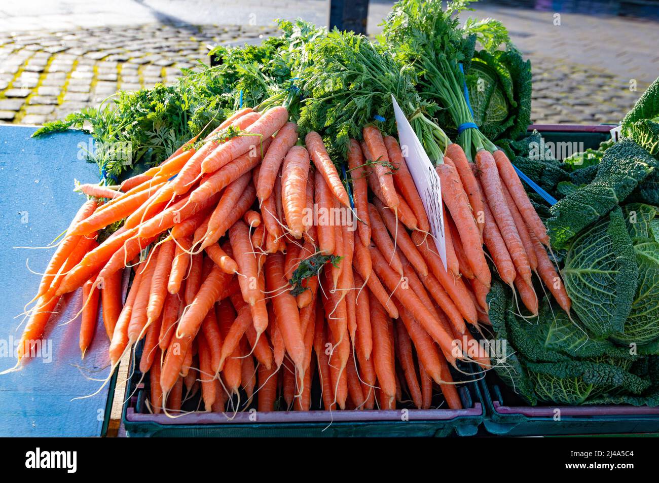 Ein Haufen Karotten auf einem Marktstand, Clitheroe Market, Clitheroe, Lancashire, Großbritannien. Stockfoto