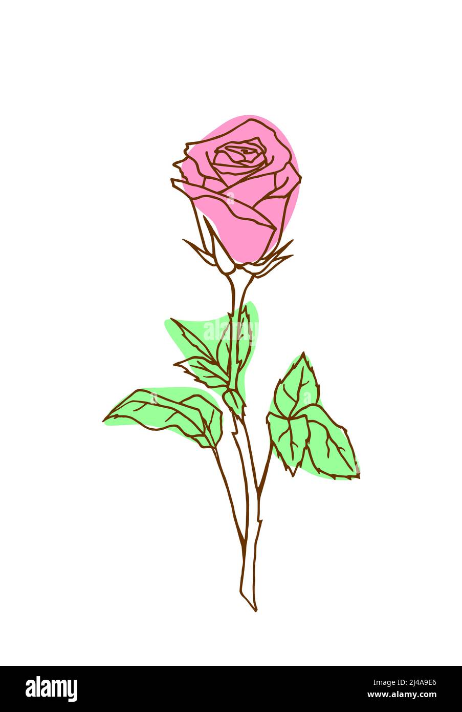 Rosa Zweig pastellfarbene grafische Zeichnung isoliert auf weißem Hintergrund Stockfoto
