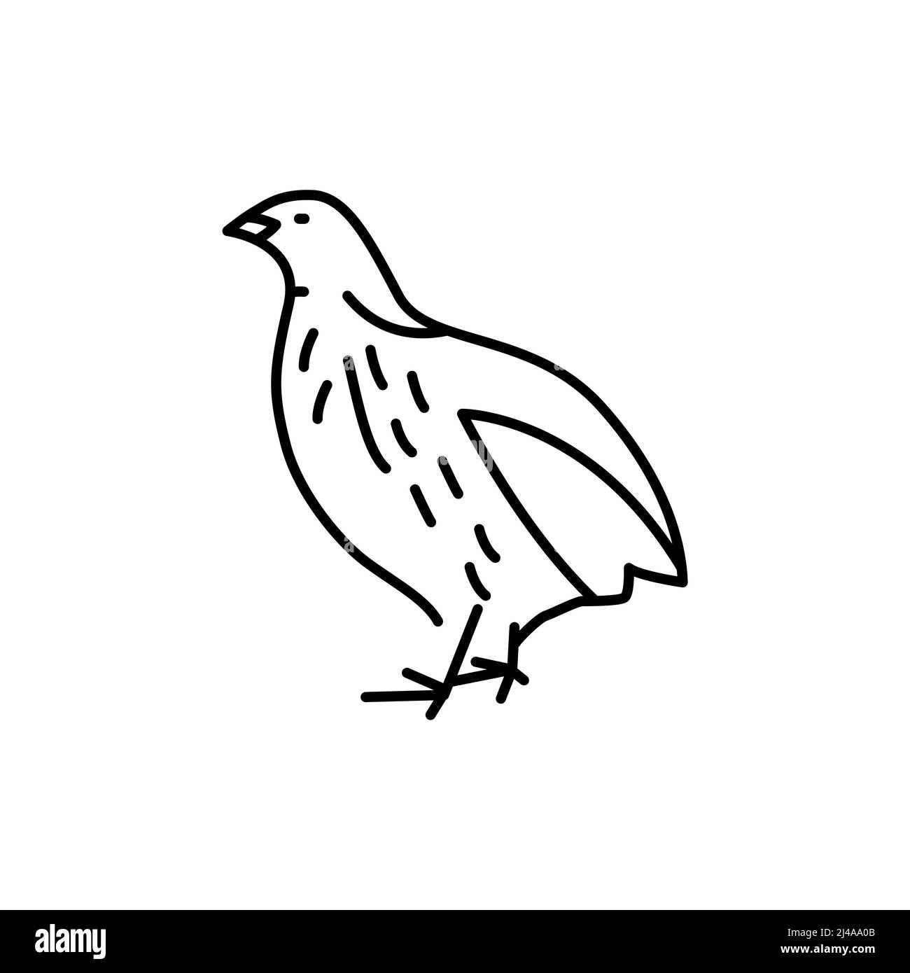 Symbol für Wachtelvögel-Farblinie. Piktogramm für Webseite Stock Vektor