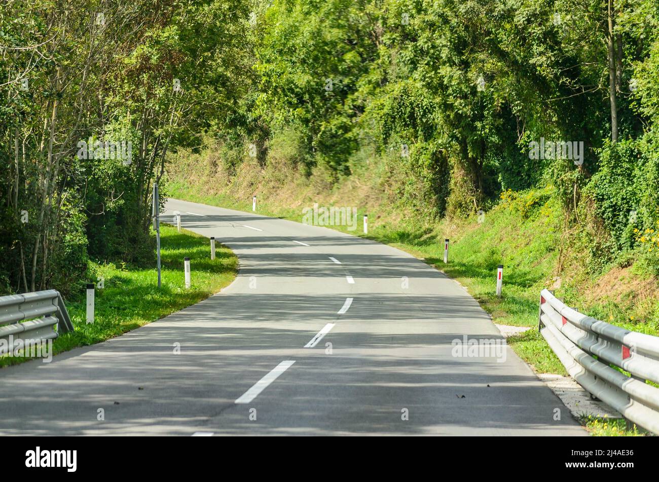 Schmale, gewundene Asphaltstraße durch den Wald mit grünen Bäumen, Gras und Sträuchern in Slowenien. Stockfoto