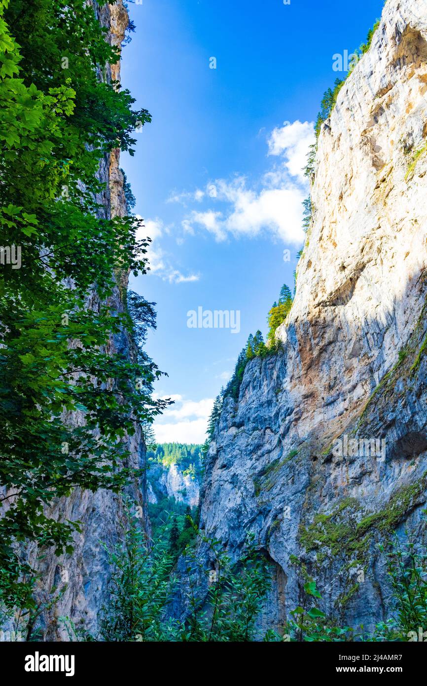 Blick auf die Trigradsko-Schlucht.die Schlucht ist eine vertikale Kalksteinfelsen, die den Fluss Trigradska umgeben. Der Fluss dringt in die Höhle des Teufels ein Stockfoto