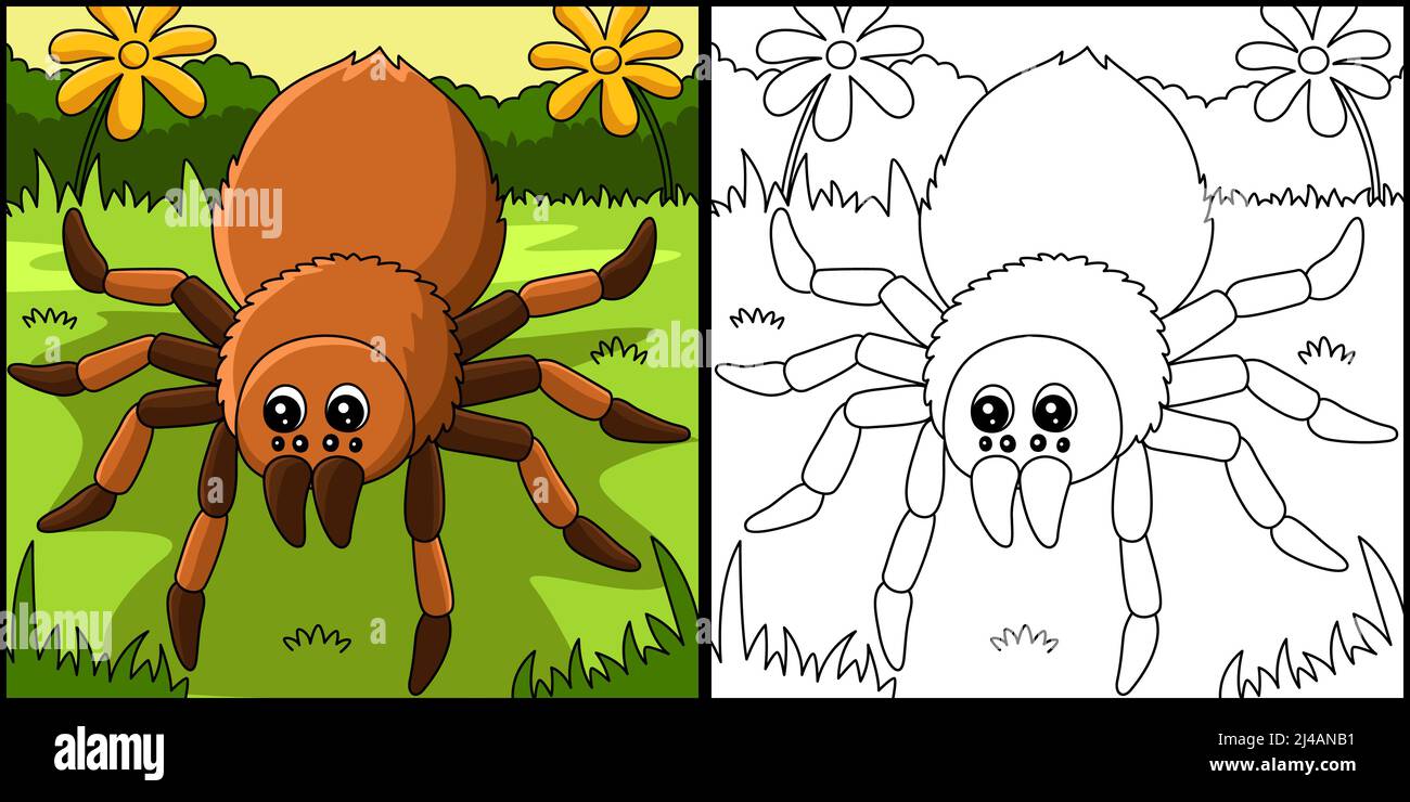 Tarantula Tier Färbung Page Illustration Stock Vektor