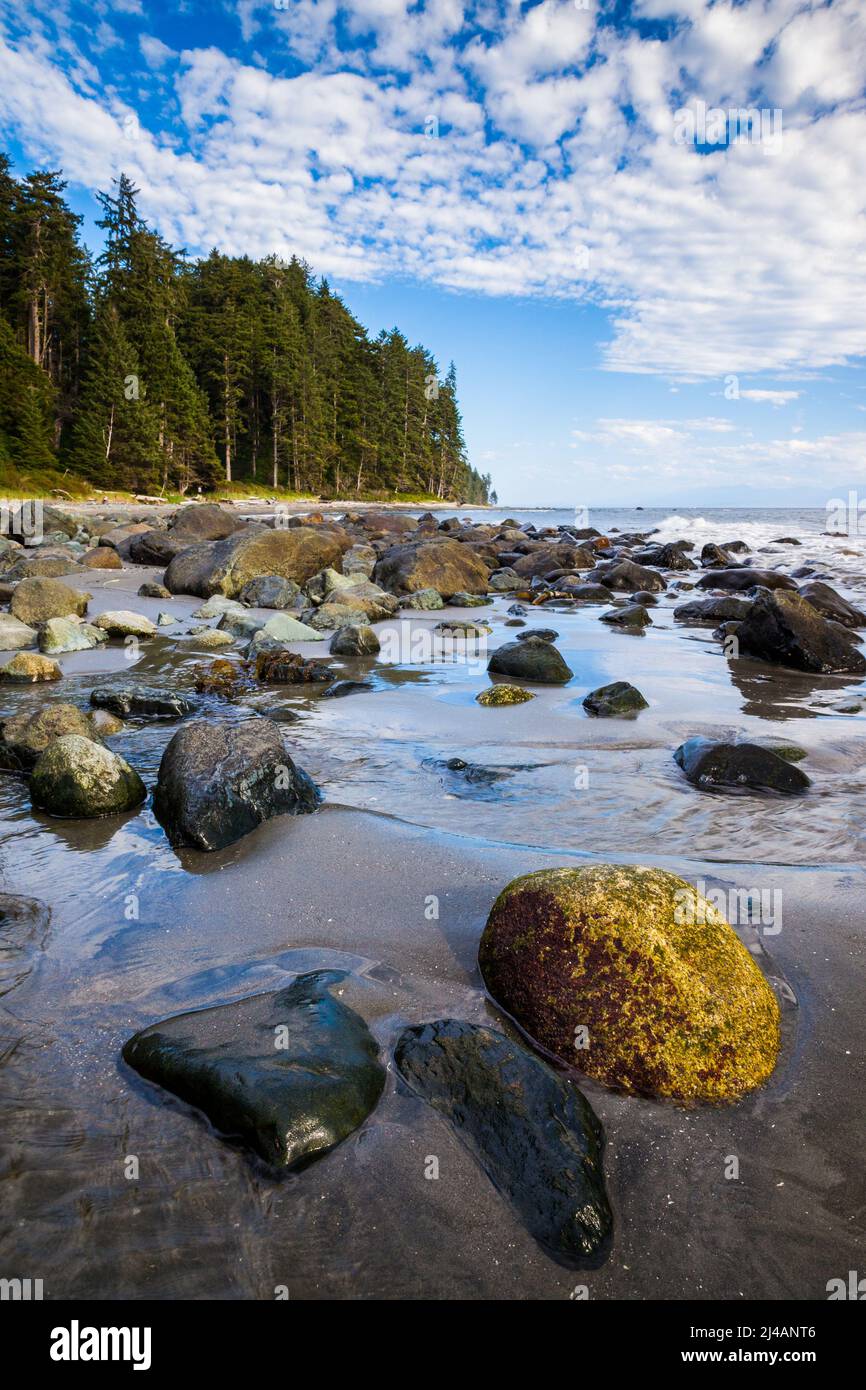 Zweiten Strand, Juan de Fuca Provincial Park, Vancouver Island, British Columbia, Kanada Stockfoto