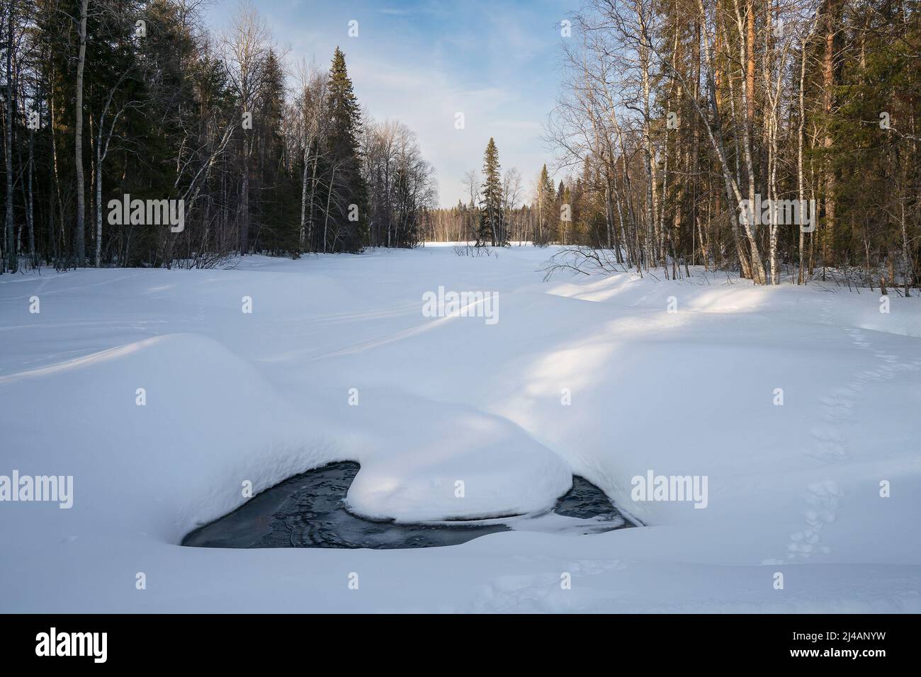 Das erste Zeichen des Tauens eines gefrorenen Flusses in der finnischen Taiga. Stockfoto