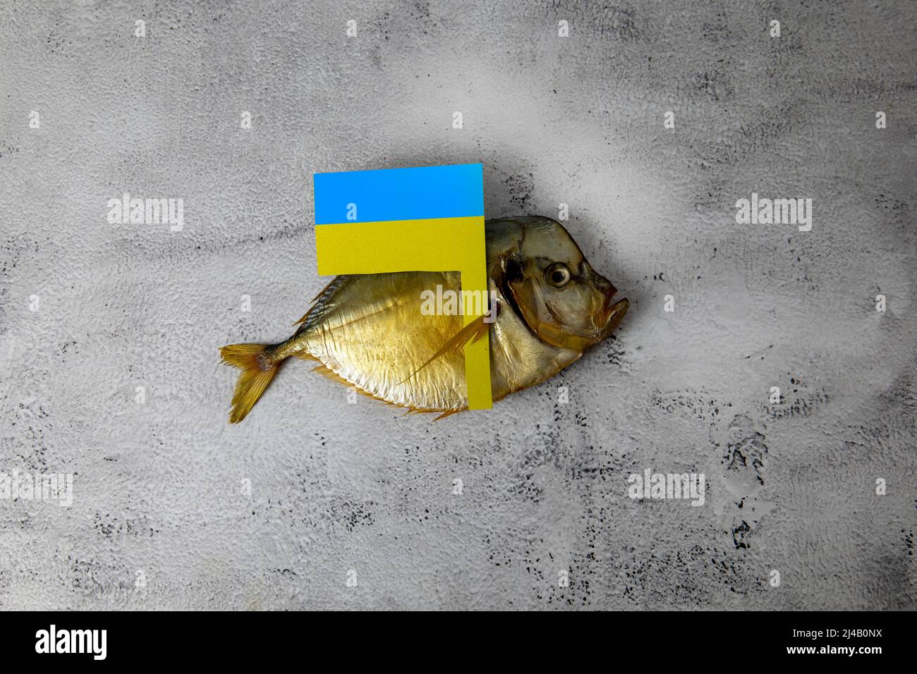 Der Fisch starb unter ukrainischer Flagge Stockfoto