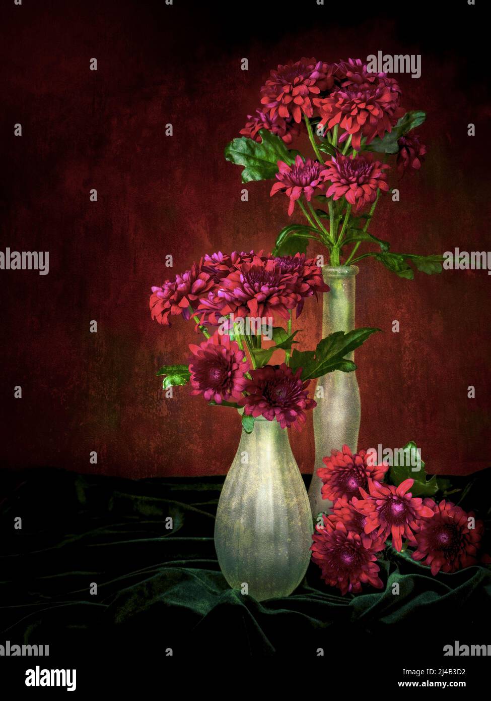 Stillleben mit Chrysanthemen und Milchglasvasen. Chiaroscuro im italienischen Stil. Stockfoto