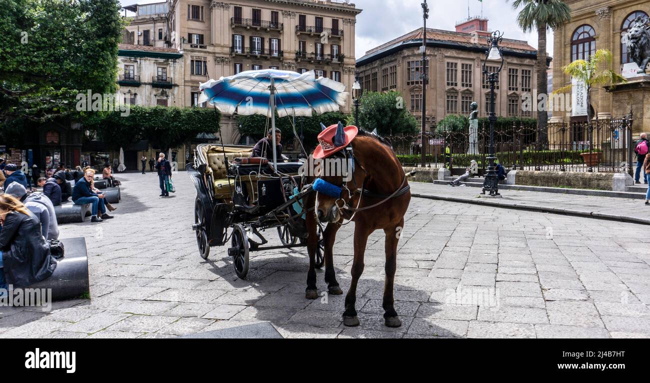 Außerhalb des Teatro Massimo Vittorio Emanuele, Piazza Verdi Palermo, Sizilien, Italien, ein fröhlich dekoriertes Pferd und Kutsche auf der Suche nach Kunden. Stockfoto