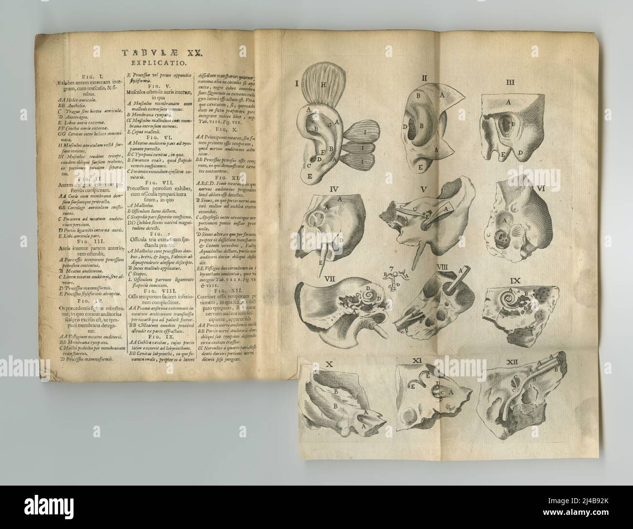 Klassische medizinische Zeitschrift. Ein altes medizinisches Buch mit seinen Seiten. Stockfoto