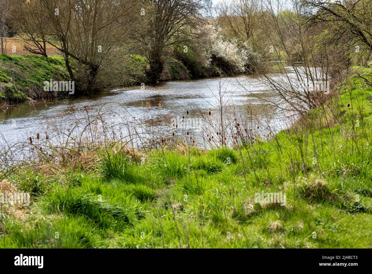 River Medway in der Nähe von Maidstone in Kent, England im Frühling Stockfoto