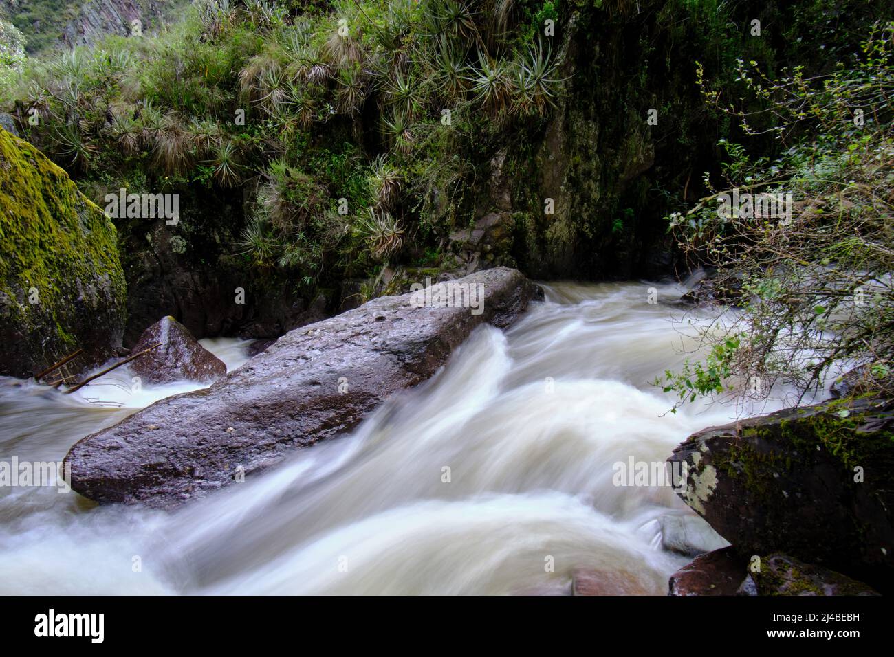 Schöne Landschaft des interandischen Waldes, wo ein Bach aus Wasser fließt, der Wasserfälle und einen kleinen Fluss bildet. Stockfoto
