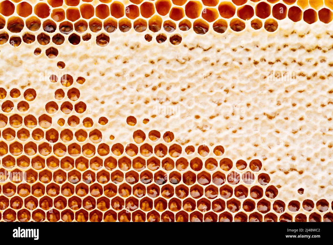 Hintergrund Textur und das Muster eines Abschnitts von Wachs Waben aus einem Bienenstock gefüllt mit goldenem Honig habe ich Stockfoto