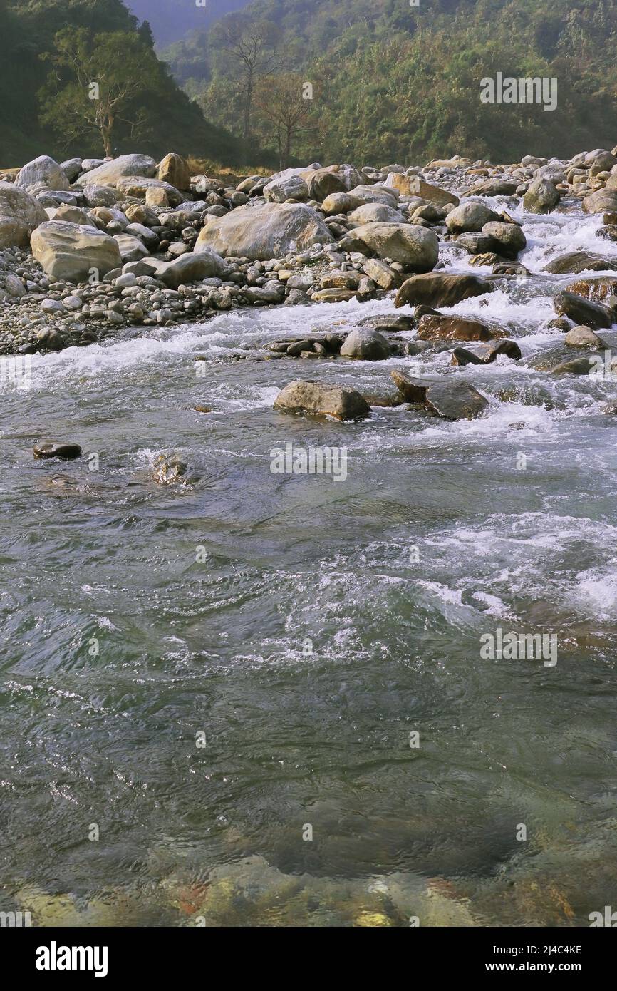 Der Balason-Fluss fließt durch die mit Felsbrocken bedeckte terai-Region bei Dudhia, westbengalen in indien Stockfoto