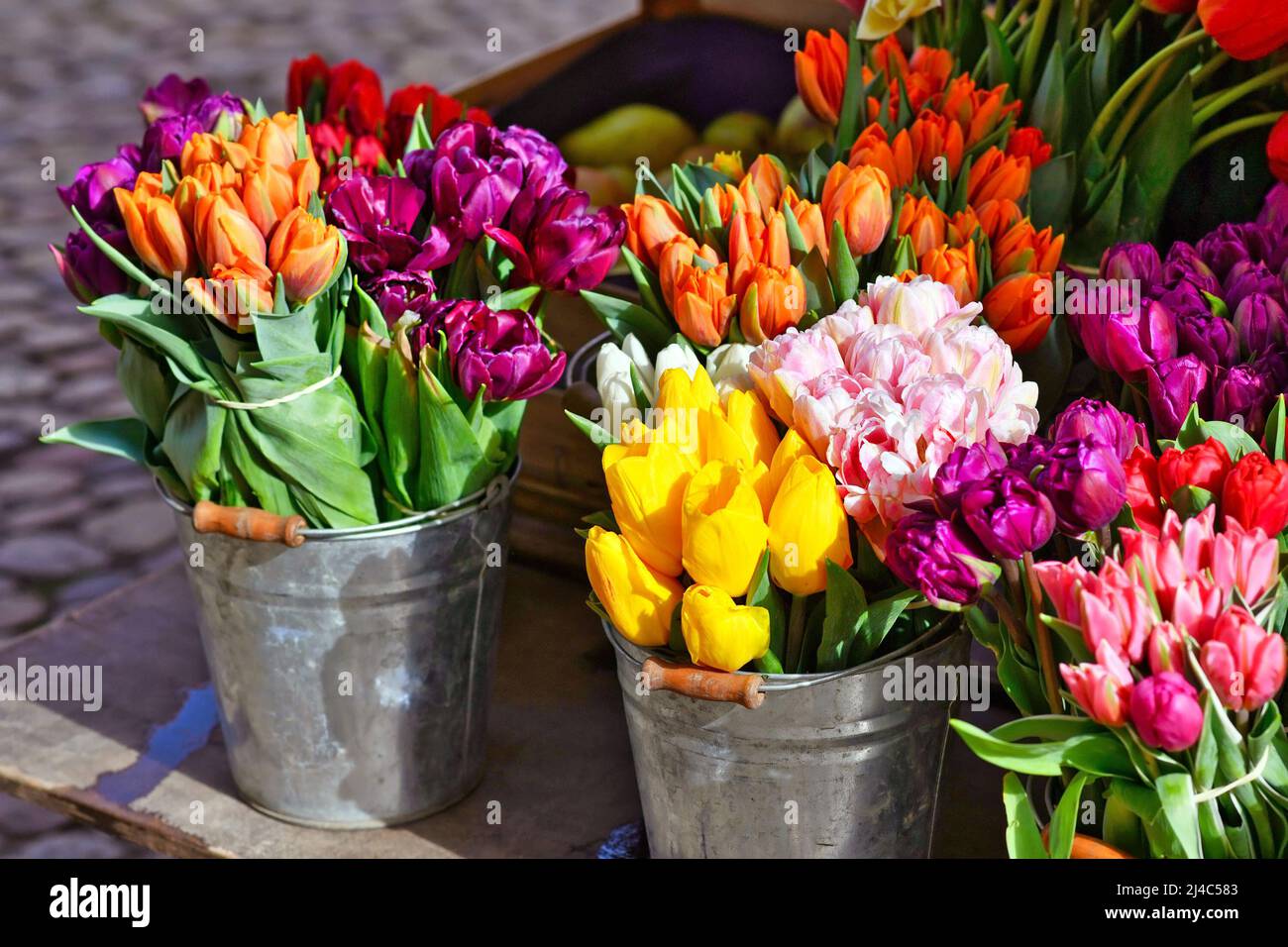 Bunte Frühlingsblumen in Körben am Verkaufsstand Stockfoto