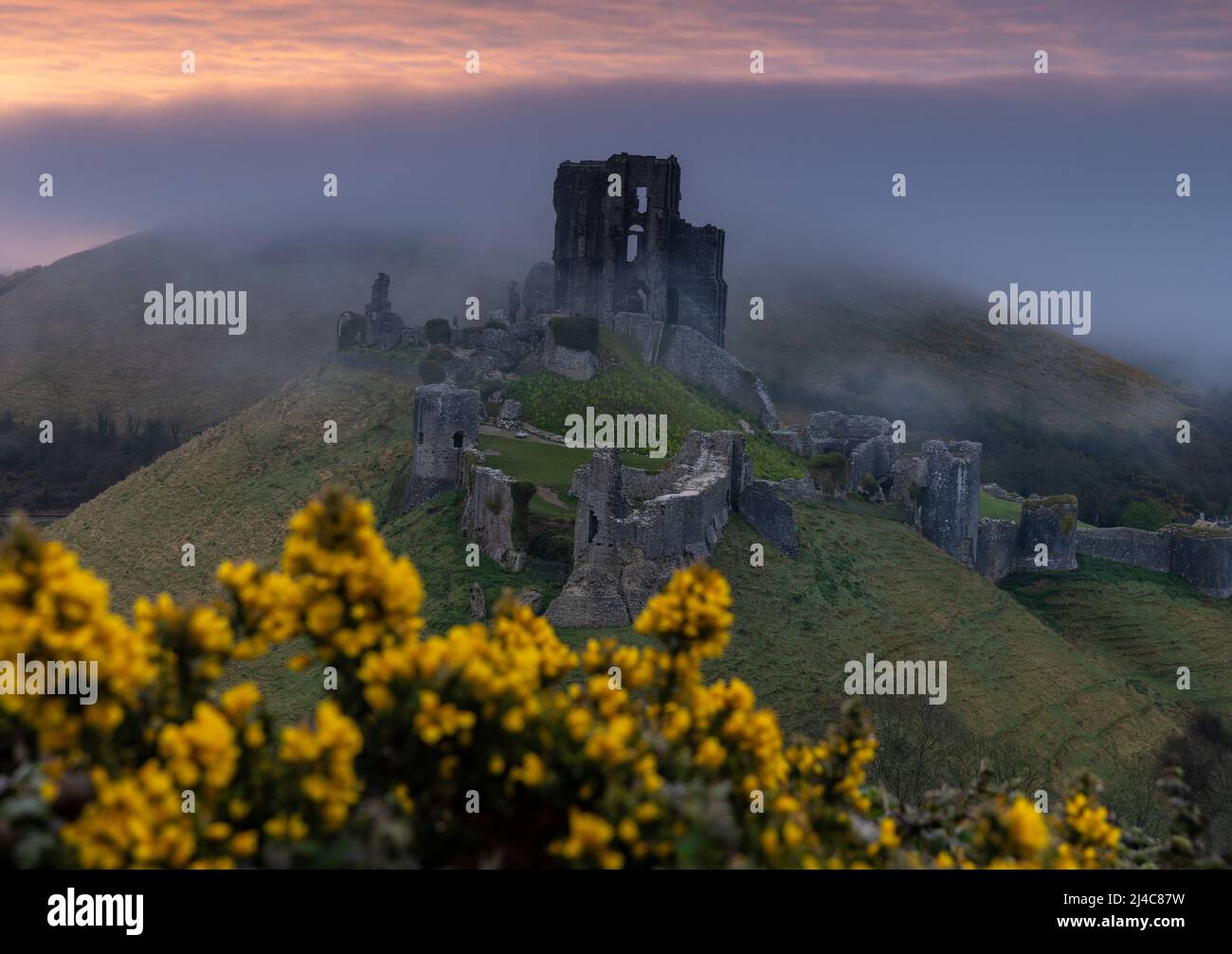 Corfe Castle, Großbritannien, 14.. April 2022. Der Blick auf Corfe Castle, umgeben von Nebel während des Sonnenaufgangs in Dorset Quelle: Steven Paston/Alamy Live News Stockfoto