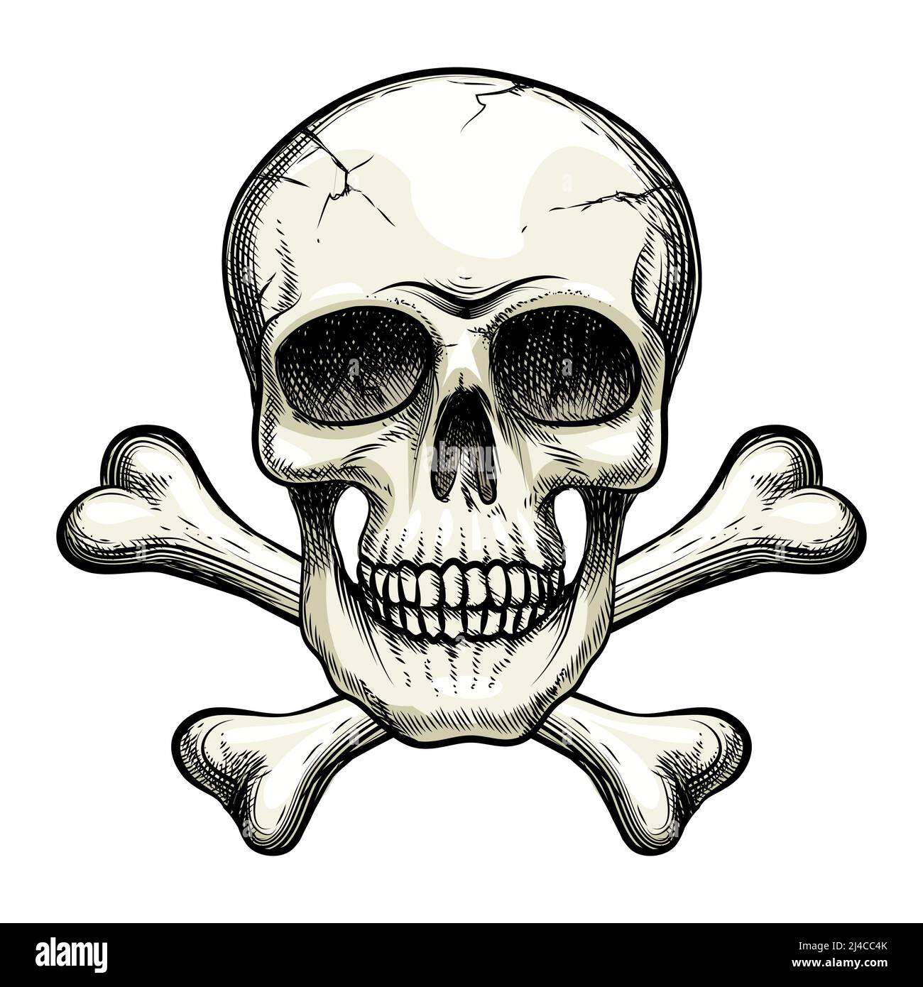 vektor-Schädel und Kreuzknochen auf weißem Hintergrund Stock Vektor