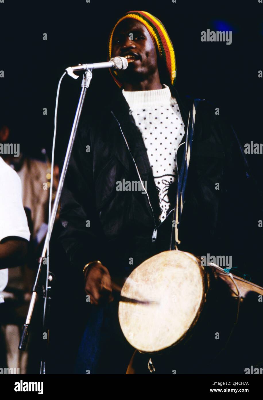 Jazz Fest Berlin, Philharmonie, Deutschland, 1988, Musiker Mahama Konate, vocal and Master Balaphone, Auftritt mit der Jazzgruppe: Jon Hassell - Farafina. Jazz Fest Berlin, Philharmonie, Deutschland, 1988, Musiker Mahama Konaté, Performance mit der Jazzgruppe: Jon Hassell - Farafina. Stockfoto
