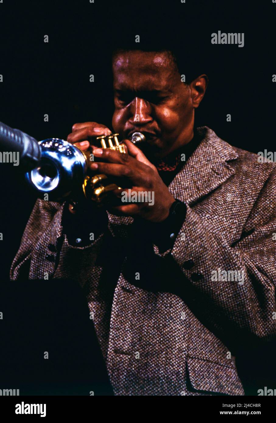 Jazz Fest Berlin, Philharmonie, Deutschland, 1986, Don Cherry, Amerikanischer Free-Jazz-Musiker, spielt auf der Taschentrompete. Jazz Fest Berlin, Philharmonie, Deutschland, 1986, Don Cherry, Amerikanischer Free-Jazz-Musiker, spielt er eine Taschentrompete. Stockfoto