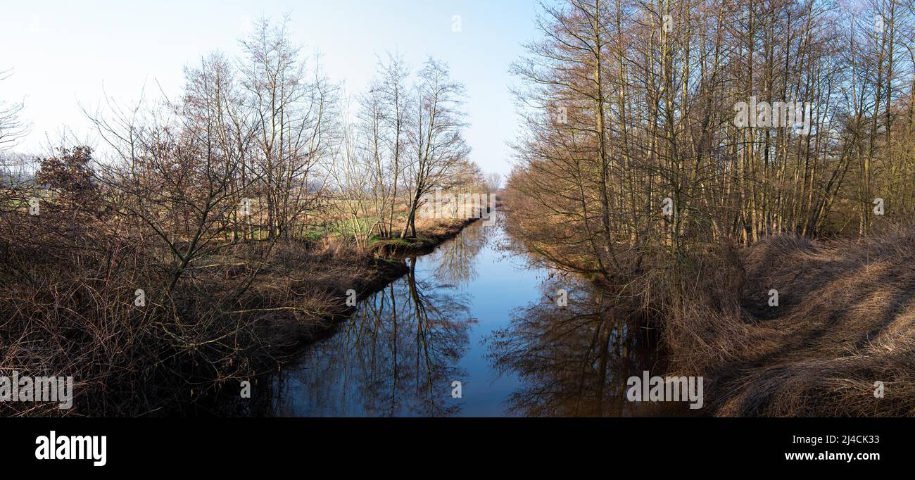 Mittelradde, in der Morgensonne mit Reflexen der Ufervegetation im Wasser, Niedersachsen, Deutschland Stockfoto