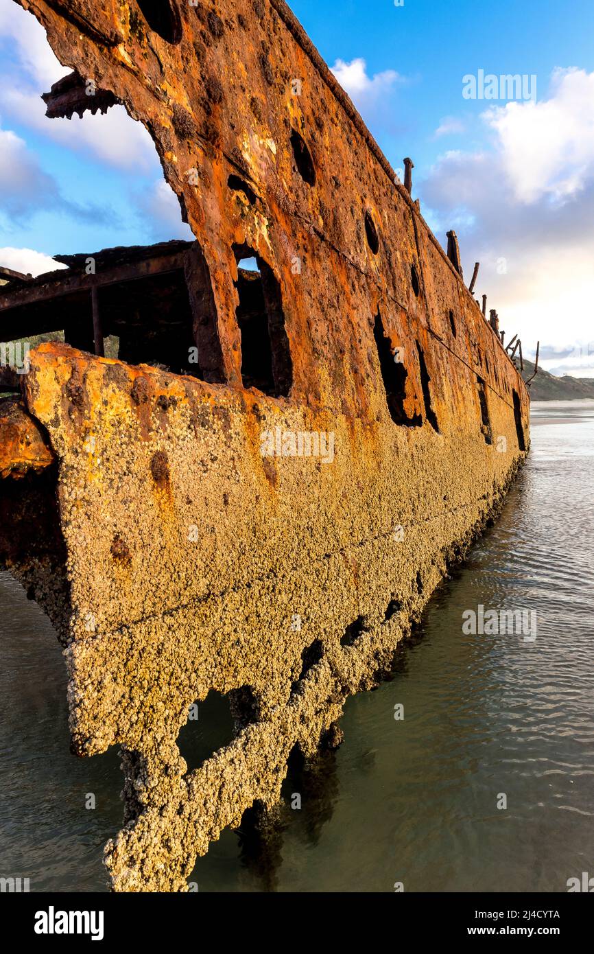 Steuerbordseite des Schiffswracks von Maheno, am frühen Morgen am Seventy Five Mile Beach, Fraser Island, Queensland, Australien Stockfoto