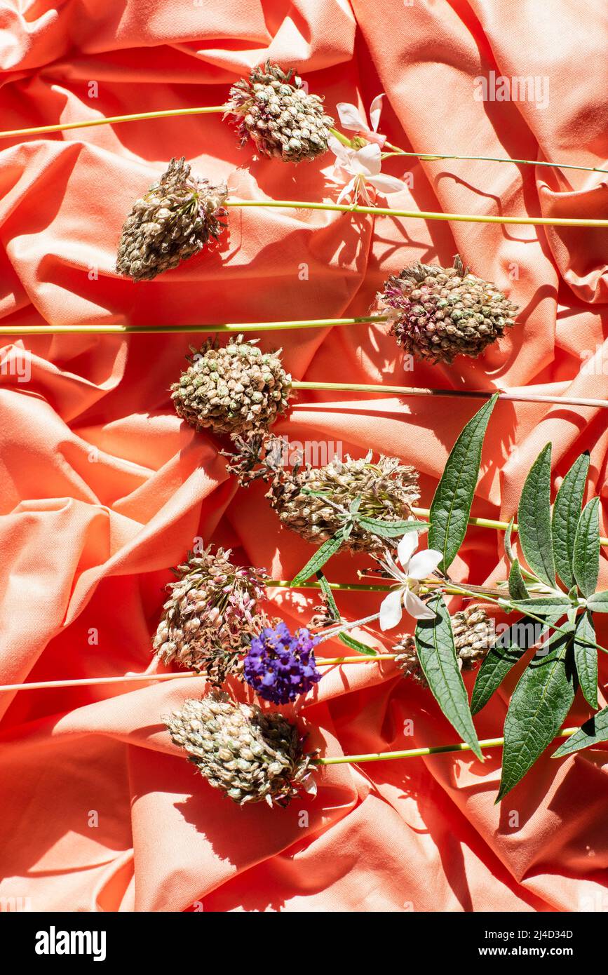 Blumen auf zusammengekrümmtem Material Stockfoto