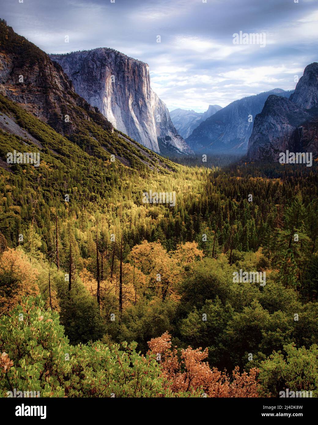 Das Yosemite Valley erwärmt sich im Yosemite National Park, Kalifornien, mit Sonnenschein am frühen Morgen. Stockfoto