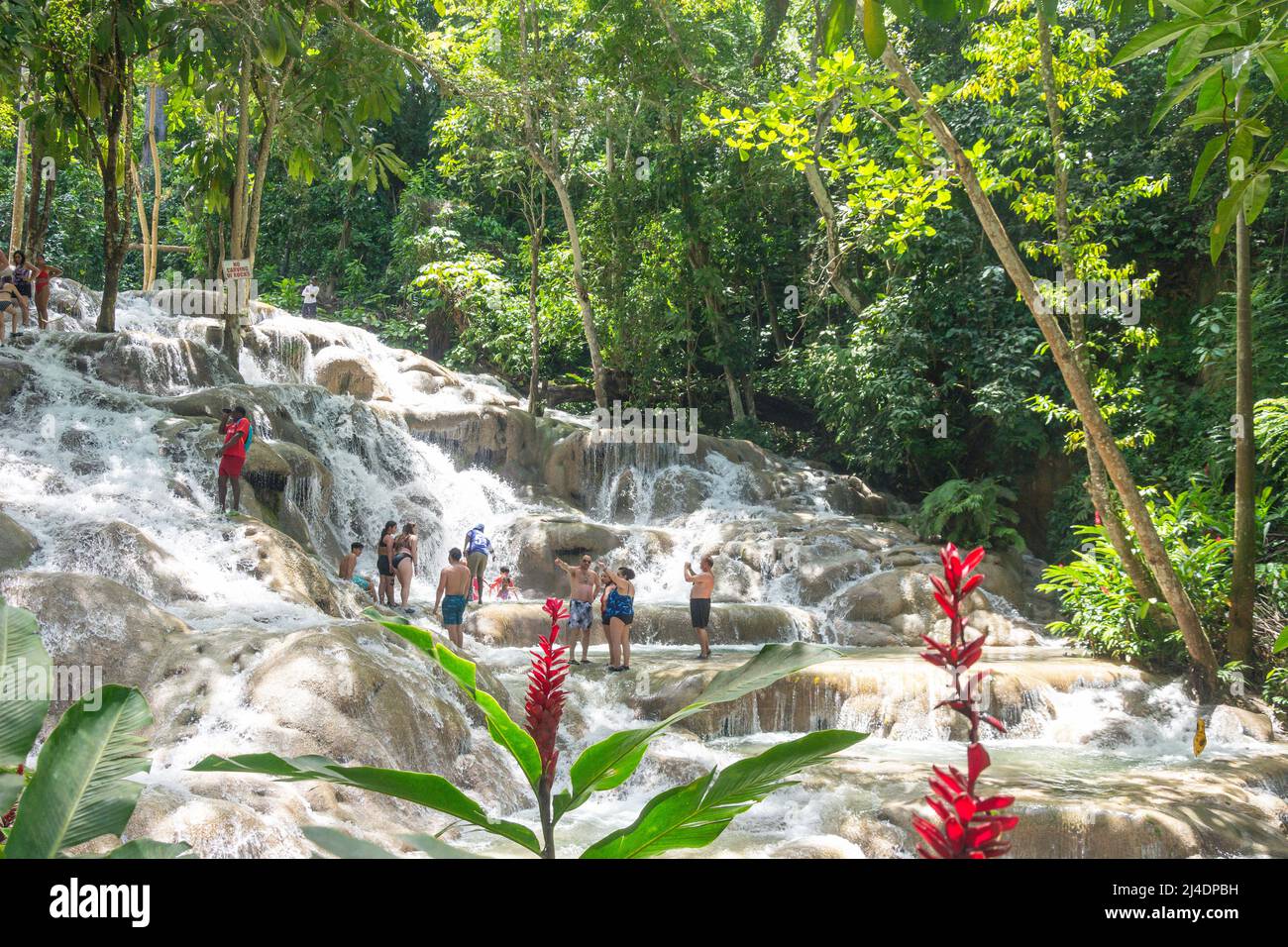 Touristen, die die Dunns River Falls, Ocho Rios, St Ann Parish, Jamaica, Greater Antilles, Karibik Stockfoto