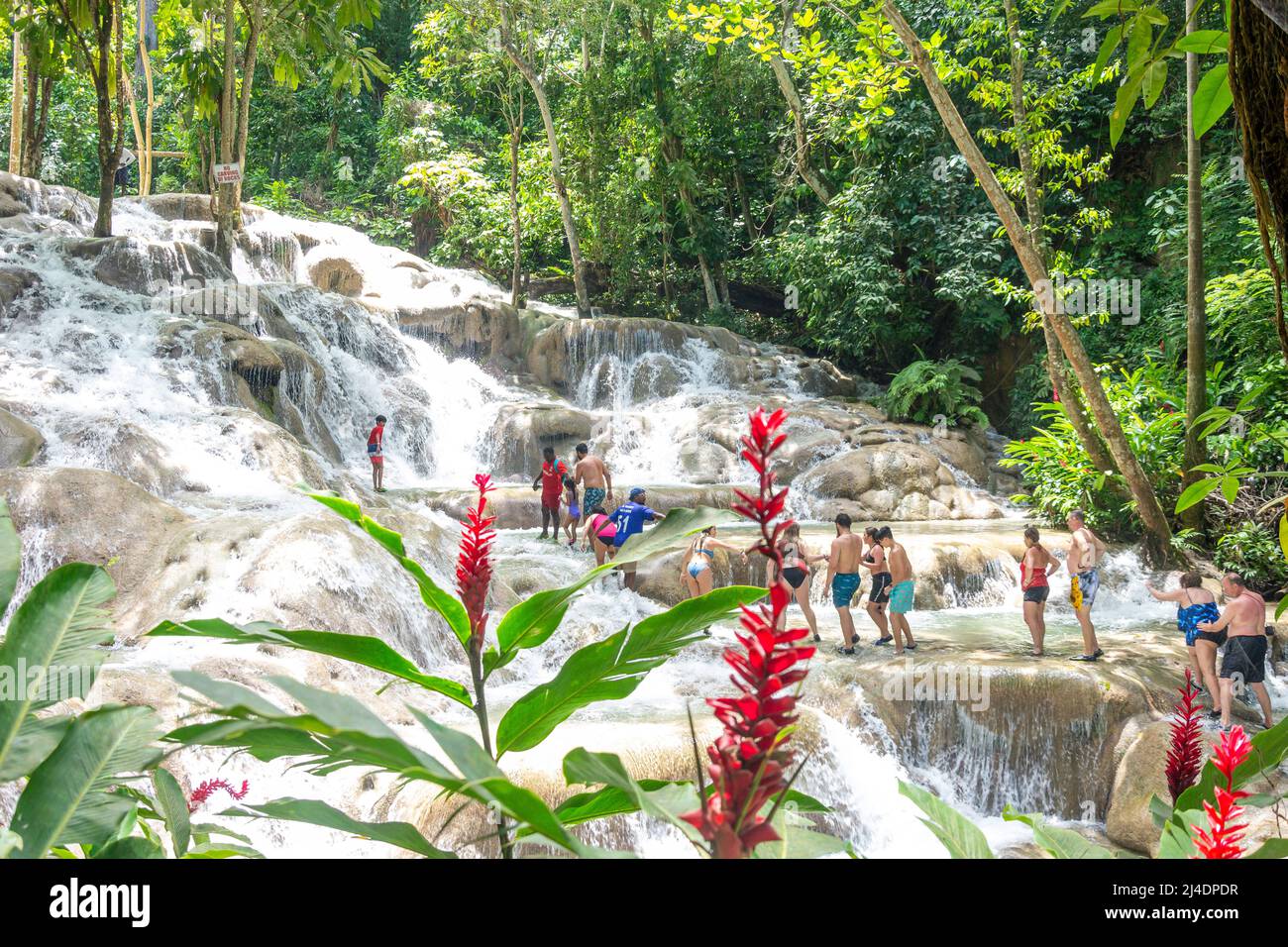 Touristen, die die Dunns River Falls, Ocho Rios, St Ann Parish, Jamaica, Greater Antilles, Karibik Stockfoto
