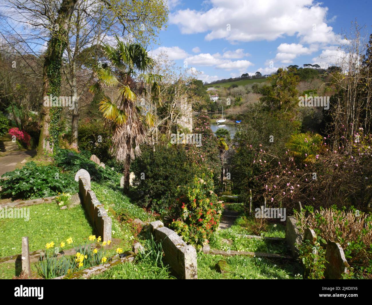 Die Kirche von St Just-in-Roseland, Cornwall, mit St nur Bach dahinter. Stockfoto