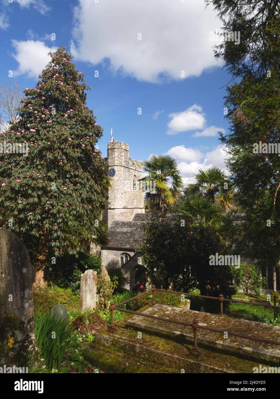 Die Kirche von St. Just-in-Roseland, Cornwall im Frühling. Stockfoto