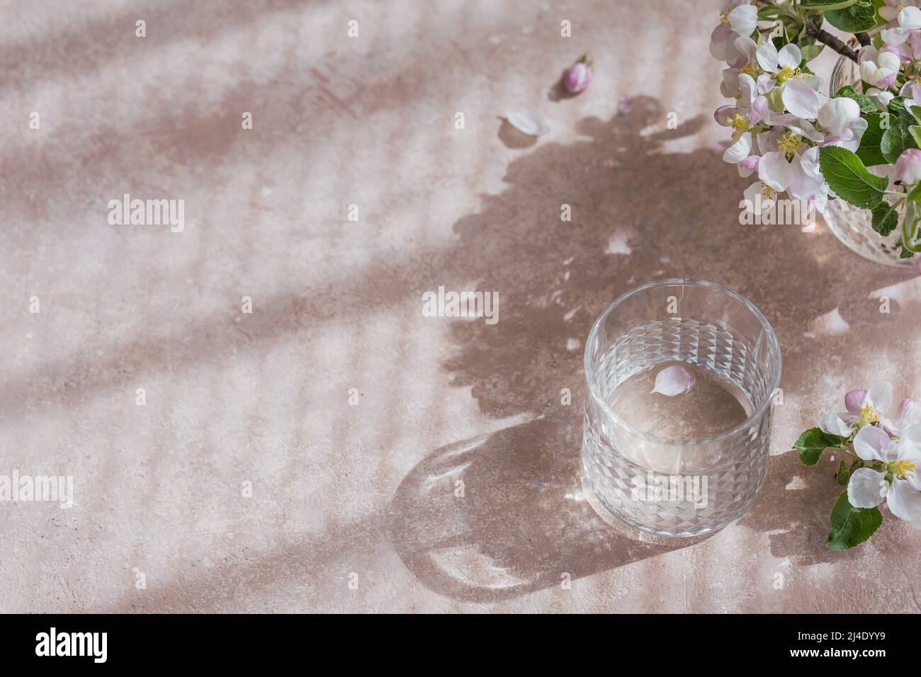 Glas Wasser auf dem Tisch mit blühendem Apfelbaum-Ast in einem Glas Stockfoto