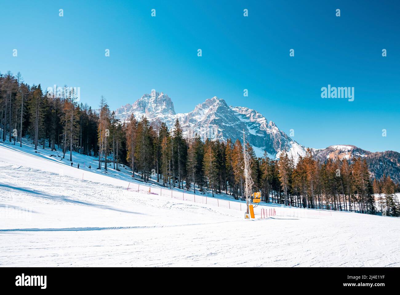 Malerische Aussicht auf die Skipisten vor Bäumen auf schneebedeckten majestätischen Bergen Stockfoto