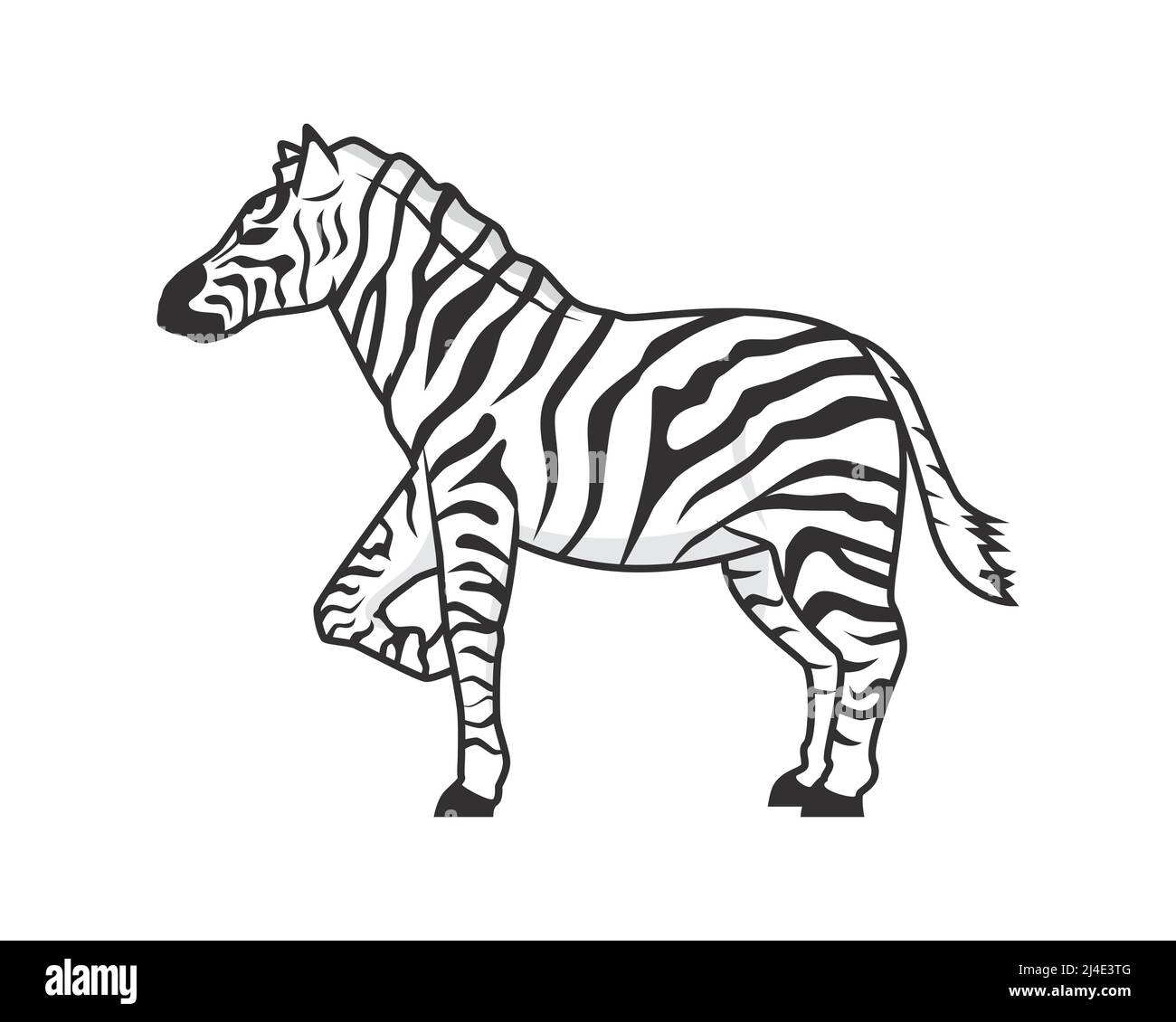 Detaillierter Vektor Mit Darstellung Des Stehenden Zebras Stock Vektor