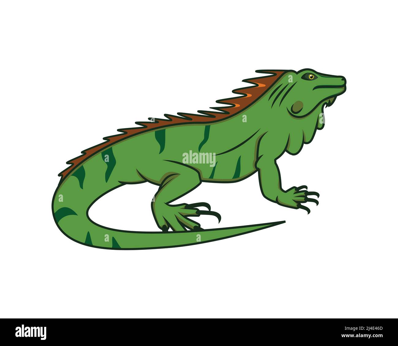 Detaillierter Crawling Iguana der Reptil Animal Illustration Vektor Stock Vektor