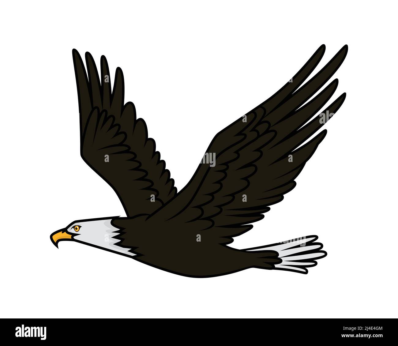 Detailreiche Illustration Des Fliegenden Adlers Stock Vektor