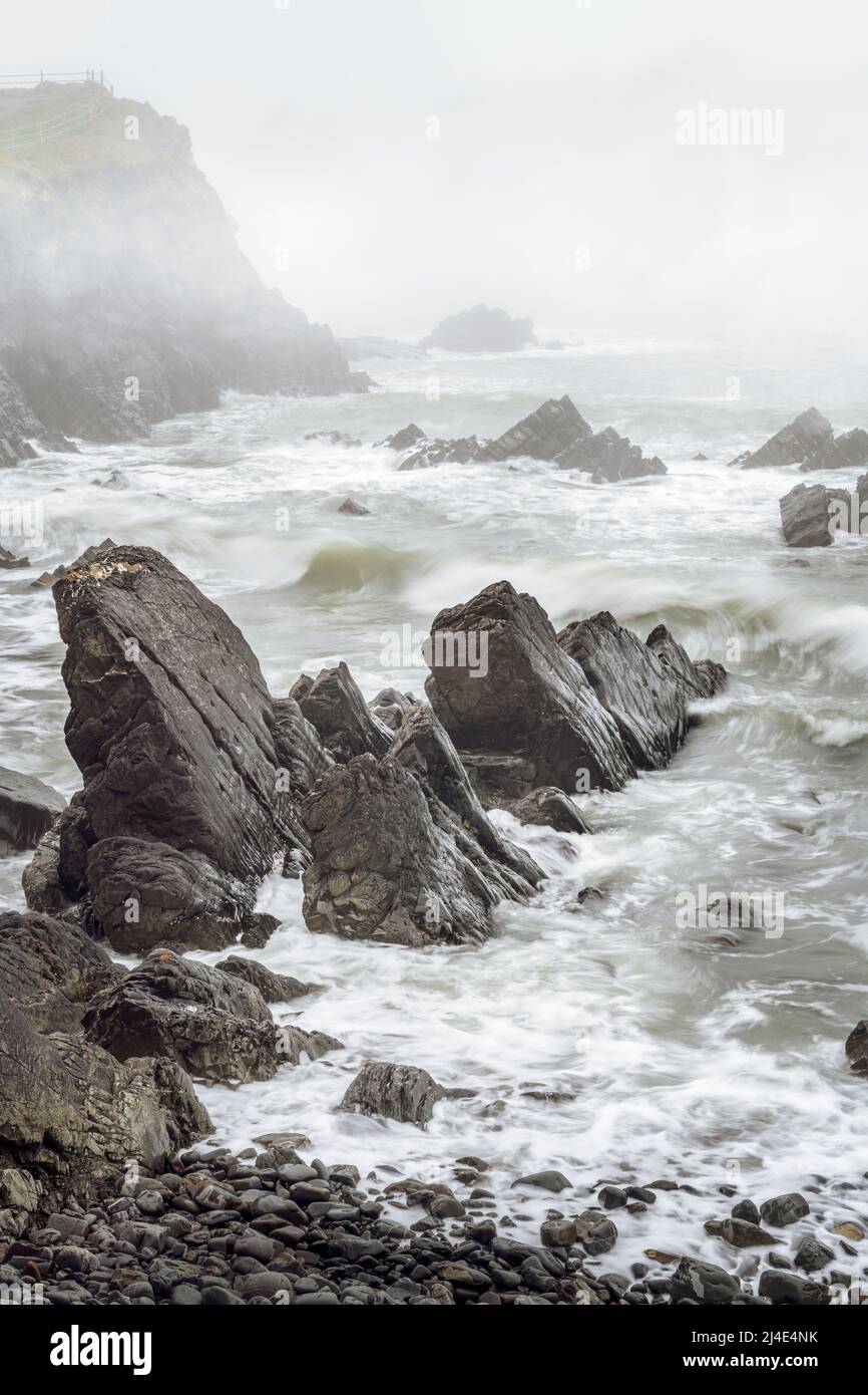 Wenn die Flut ansteigt, verbirgt sich die zerklüftete Küste von Hartland Point in North Devon in einer Schicht treibenden Nebels. Stockfoto