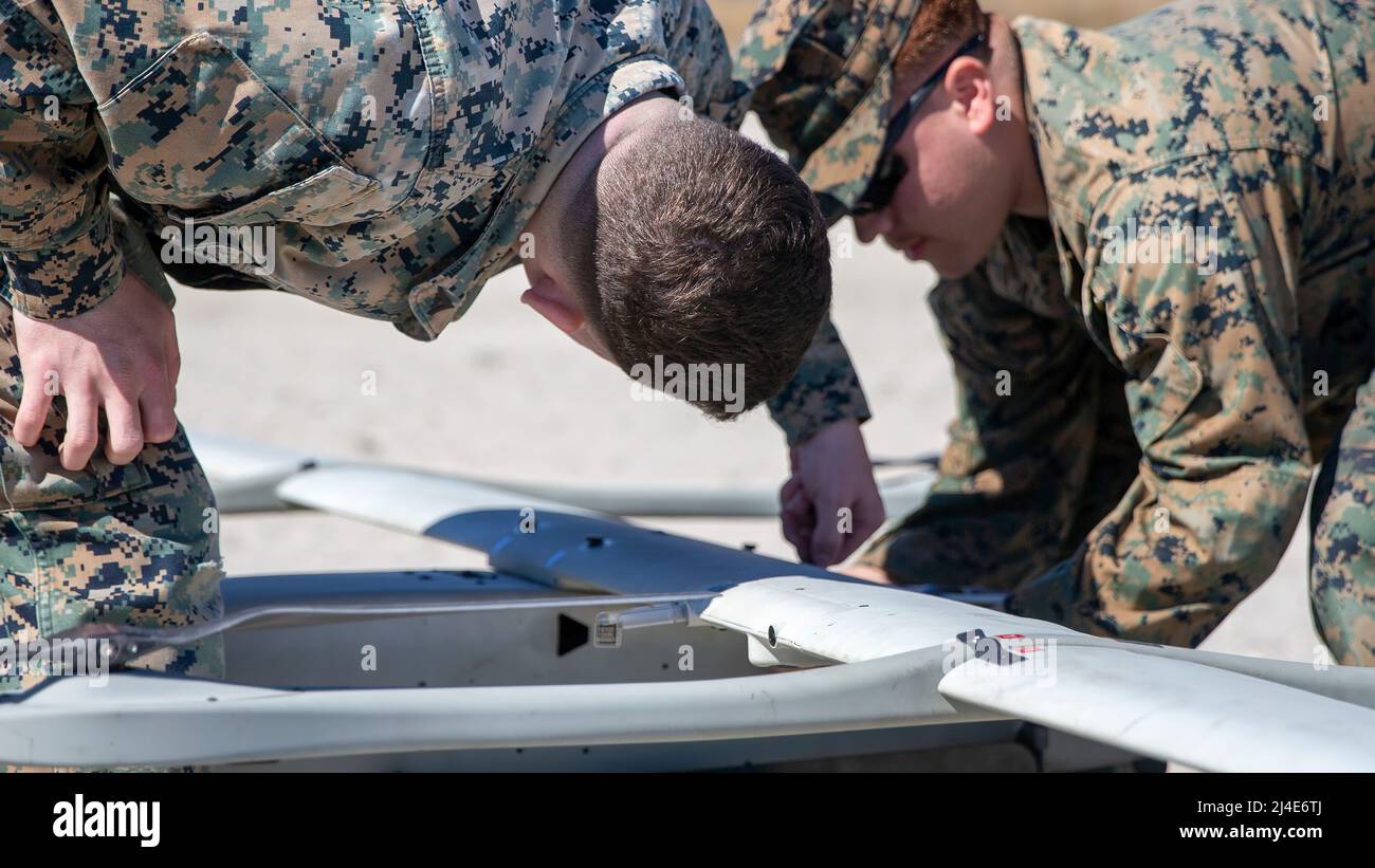 US-Marineinfanteristen mit 2D leicht gepanzerten Aufklärungsbataillons, 2D Marine Division, bauen während der Littoral Exercise II (LEX II) auf Lager Lejeune, North Carolina, 3. März 2022 ein unbemanntes Stalker-Flugzeugsystem zusammen. Während der LEX II versuchen Marineinfanteristen und Matrosen, ihre Fähigkeit zu üben, das Zwangsverhalten eines fiktiven Gegners zu entmutigen und direkt durch Abschreckung mit fortschrittlichen Technologiesystemen beizutragen. Die Division testete neue Taktiken und Trainings mit multidomänenübergreifenden Aufklärungs- und Gegen-Aufklärungsteams nach Force Design 2030. (USA Marine Corps Foto von Lance CPL. Ryan Stockfoto