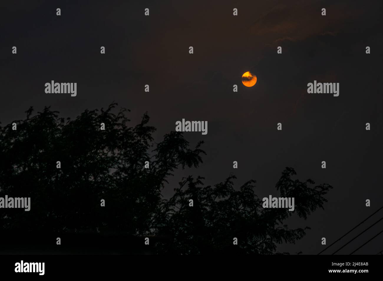 Strahlender Mond durch Wolken über Baumzweigen in Silhouette in der frühen Nacht Stockfoto