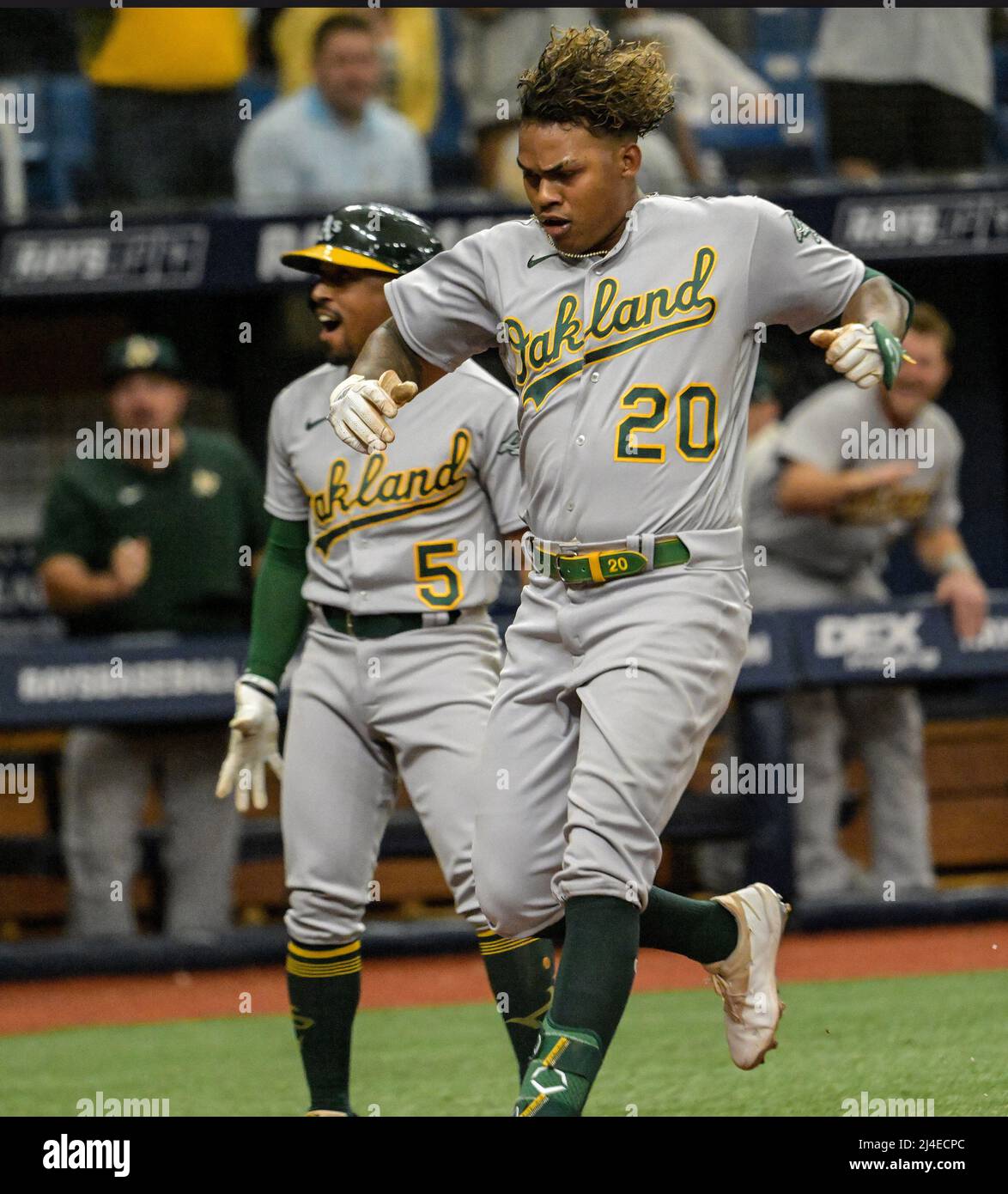 St. Petersburg, Usa. 14. April 2022. Tony Kemp (5) von Oakland Athletics sieht so aus, als Cristian Pache (20) am Donnerstag, den 14. April 2022, beim zweiten Inning eines Baseballspiels gegen die Tampa Bay Rays im Tropicana Field in St. Petersburg, Florida, punktet. Foto von Steve Nesius/UPI Credit: UPI/Alamy Live News Stockfoto