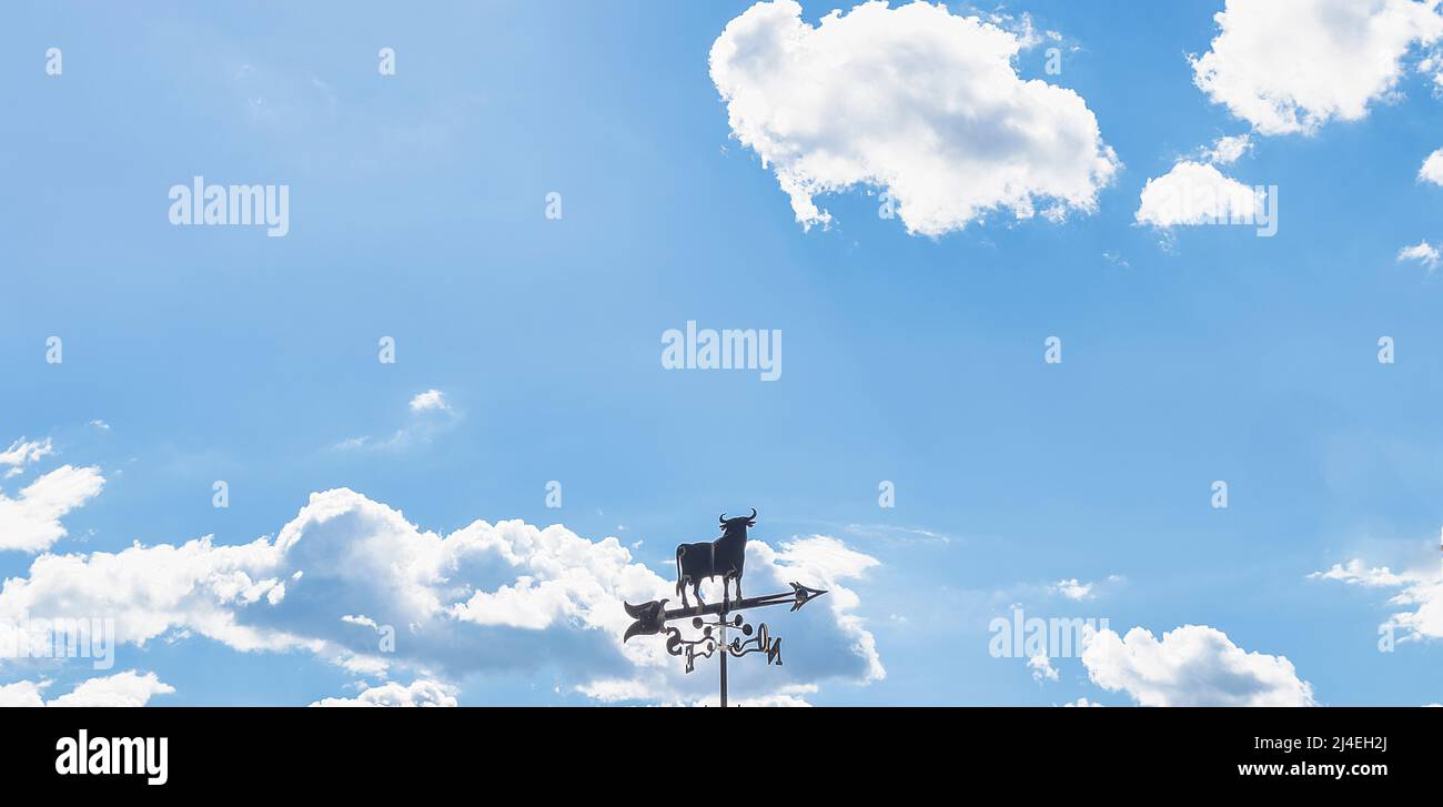 Wetterfahne aus Eisen. Bullenflügel. Stockfoto