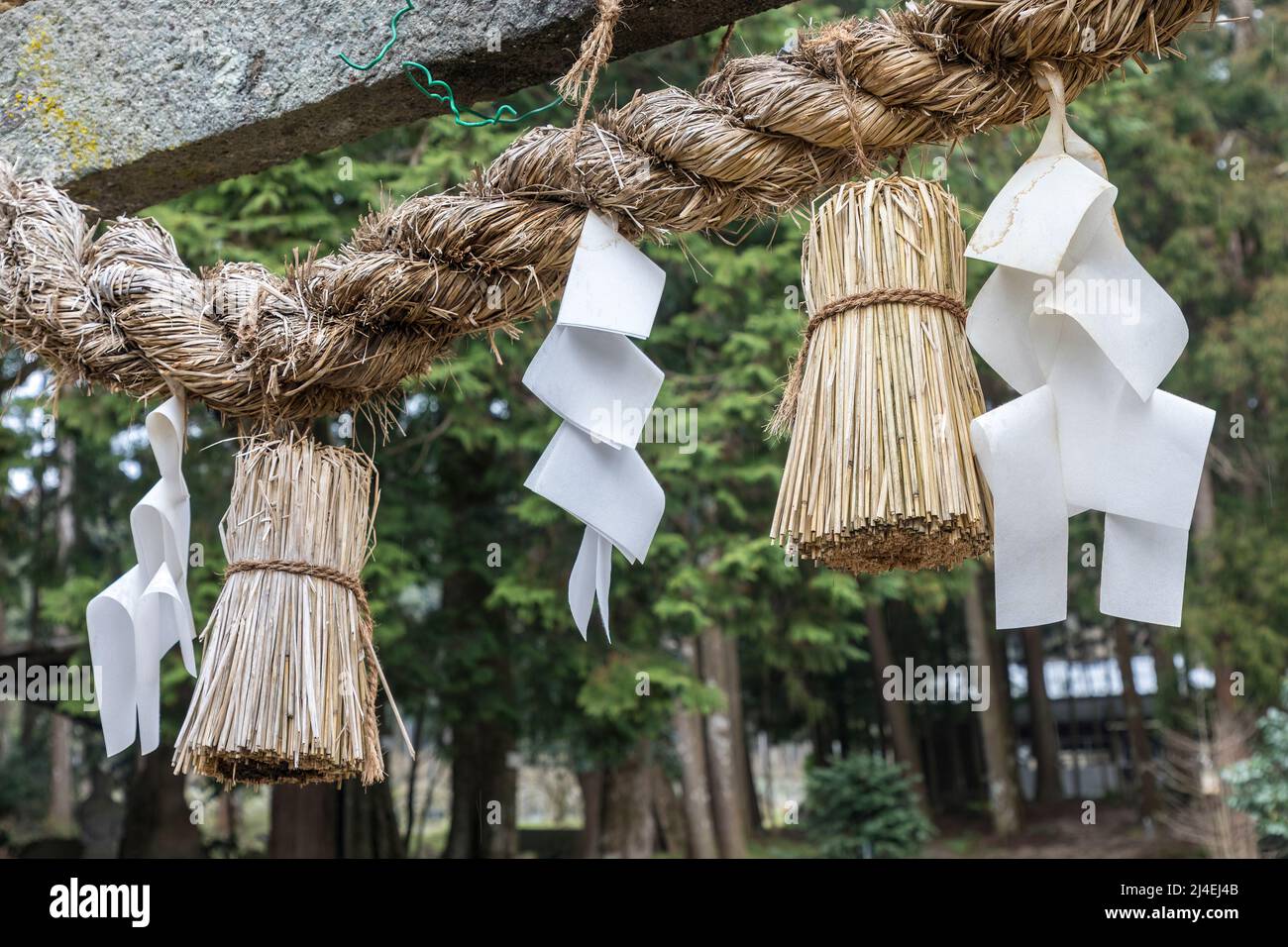 Shide-Papierstreamer, der in Shinto-Ritualen verwendet wird, Beppu Benten Pond, Japan Stockfoto