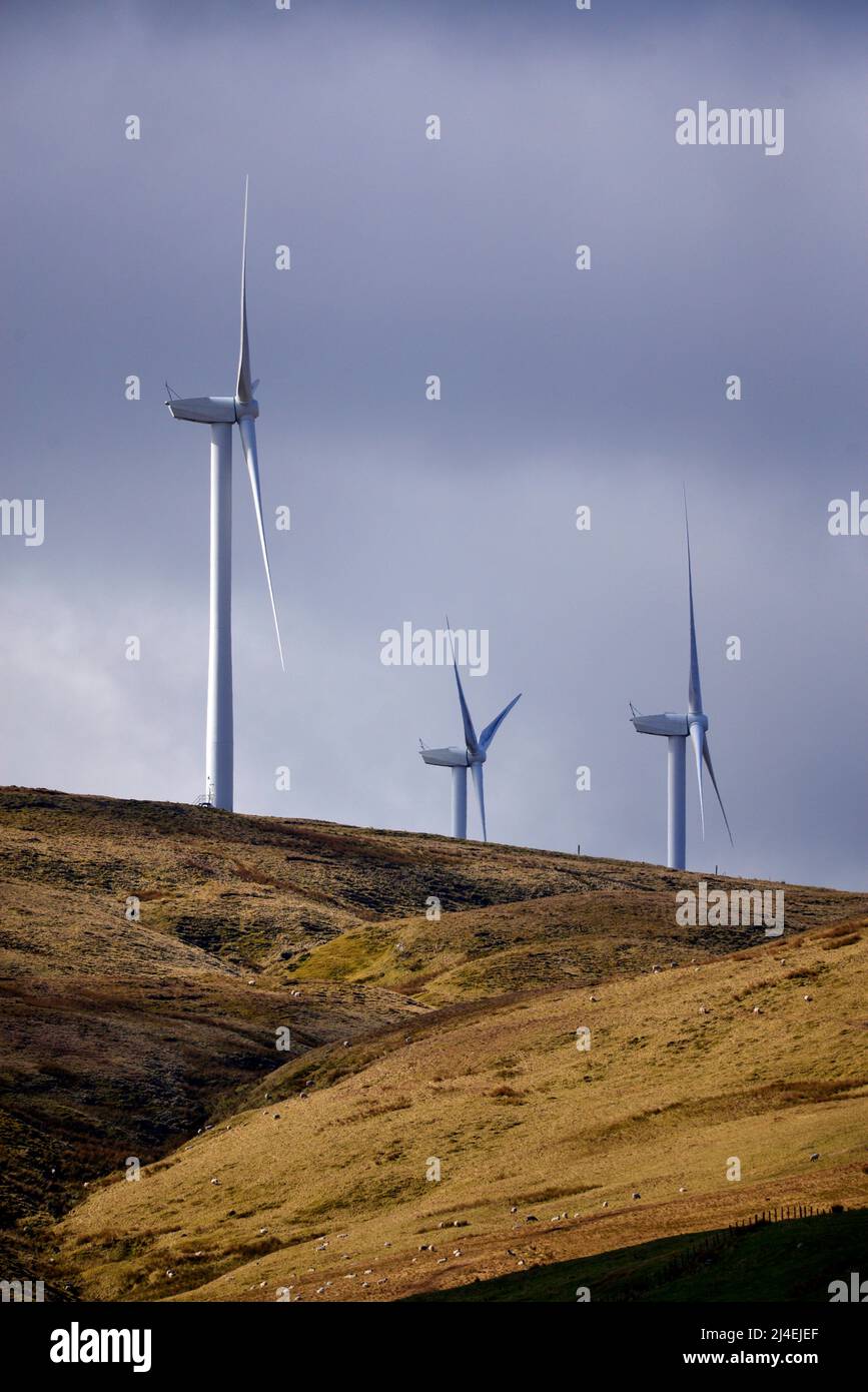 Green Knowes Windpark Windkraft Stockfoto